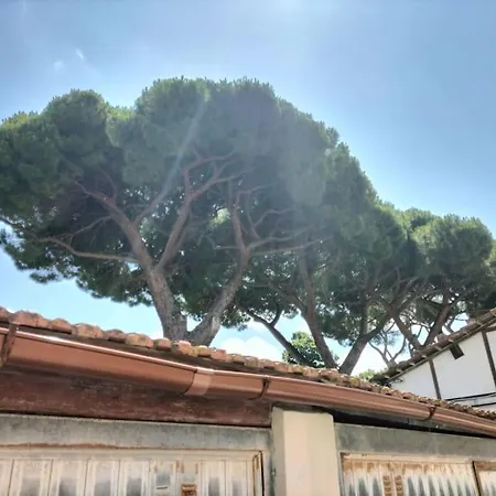 Vakantiehuis Duplex Fabbricotti Con Parcheggio